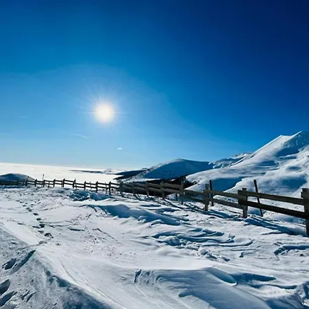 Apartman T2 Mont-dore, 4 Pers, Animaux Acceptes - Fr-1-608-275 *