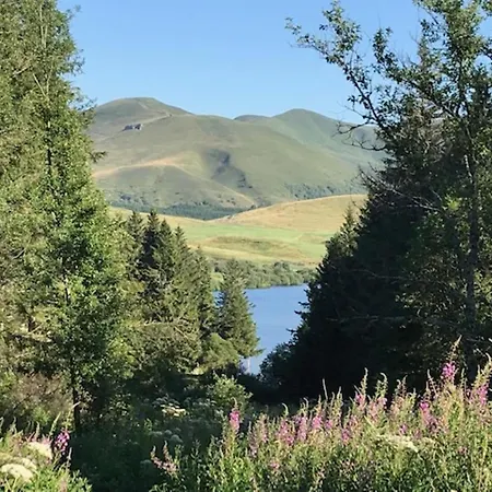 Apartman T2 Mont-dore, 4 Pers, Animaux Acceptes - Fr-1-608-275 Mont-Dore