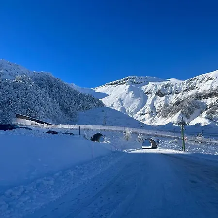 T2 Mont-dore, 4 Pers, Animaux Acceptes - Fr-1-608-275 *