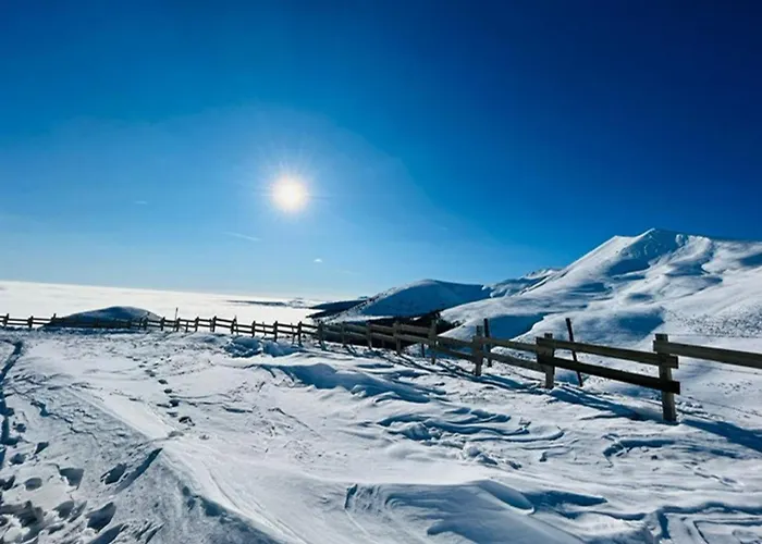 Διαμέρισμα T2 Mont-dore, 4 Pers, Animaux Acceptes - Fr-1-608-275 *