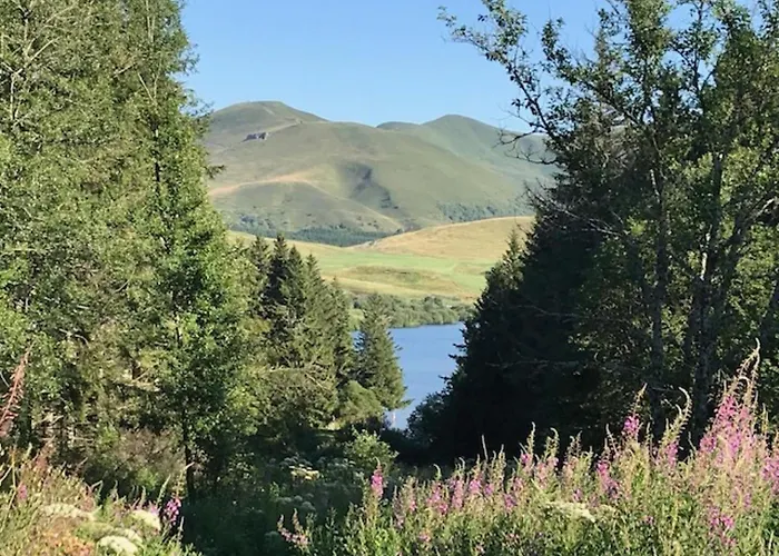 Διαμέρισμα T2 Mont-dore, 4 Pers, Animaux Acceptes - Fr-1-608-275 Mont-Dore