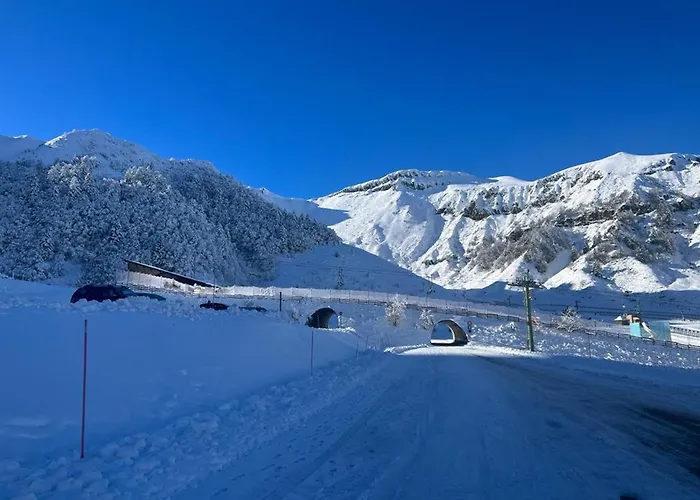 T2 Mont-dore, 4 Pers, Animaux Acceptes - Fr-1-608-275 *