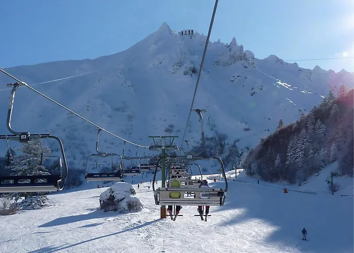 T2 Mont-dore, 4 Pers, Animaux Acceptes - Fr-1-608-275 *